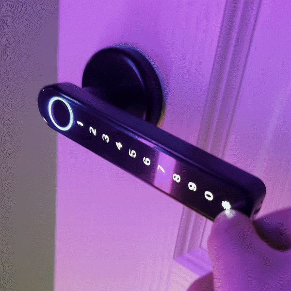 Smart Door Fingerprint Lock